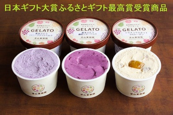 【送料無料】ふるさとギフト最高賞受賞ジェラート3種　各2個入り6個