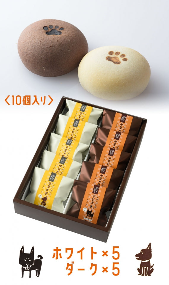 甲斐犬　チョコまんじゅう(10個入)