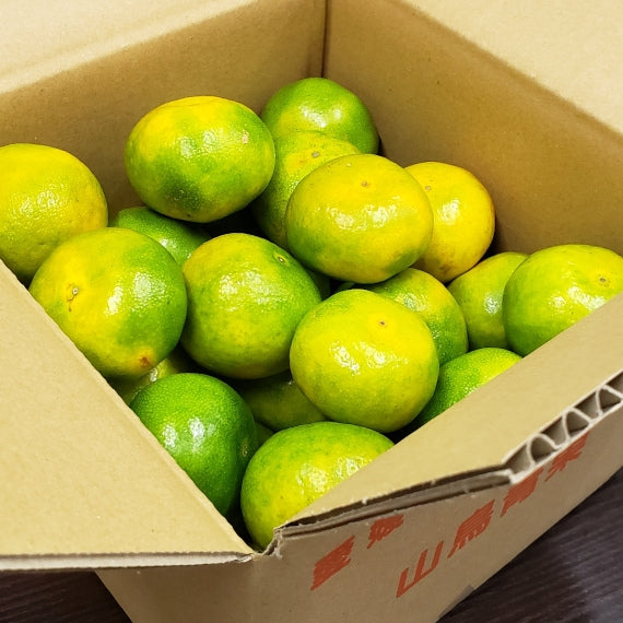 【10月広告掲載商品】■温州みかん第１弾■（お試し:３箱ご注文で１箱プレゼント）「愛媛特産」極早生みかん L～2Ｓサイズ（サイズ指定不可）　約2ｋｇ