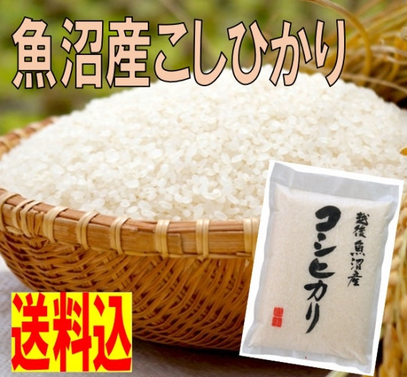 令和6年産　魚沼産こしひかり　10kg