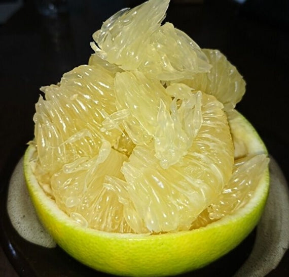 お手頃 【秋の文旦】【温室育ちの水晶文旦】3キロ（7個）Lサイズ「送料込一部地域を除く」