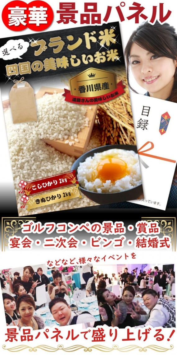 四国のおいしいお米目録 3500円ポッキリ A4 パネル 目録付 ２次会 景品 目録 お歳暮 ギフト 食品 プレゼント 女性 男性 お祝い 新生活