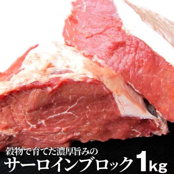 サーロイン ブロック ステーキ用 赤身 プレゼント リッチな 赤身 贅沢 牛肉