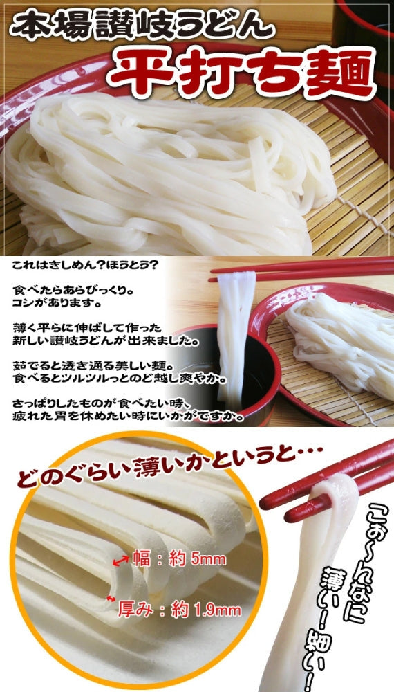 1000円ポッキリ 送料無料 本場讃岐うどん 平打ち麺 950g 約10人前【送料無料】 ポスト投函便での配送(代金引換-後払い不可・着日指定不可)