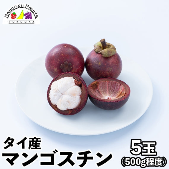 【予約販売】タイ産マンゴスチン