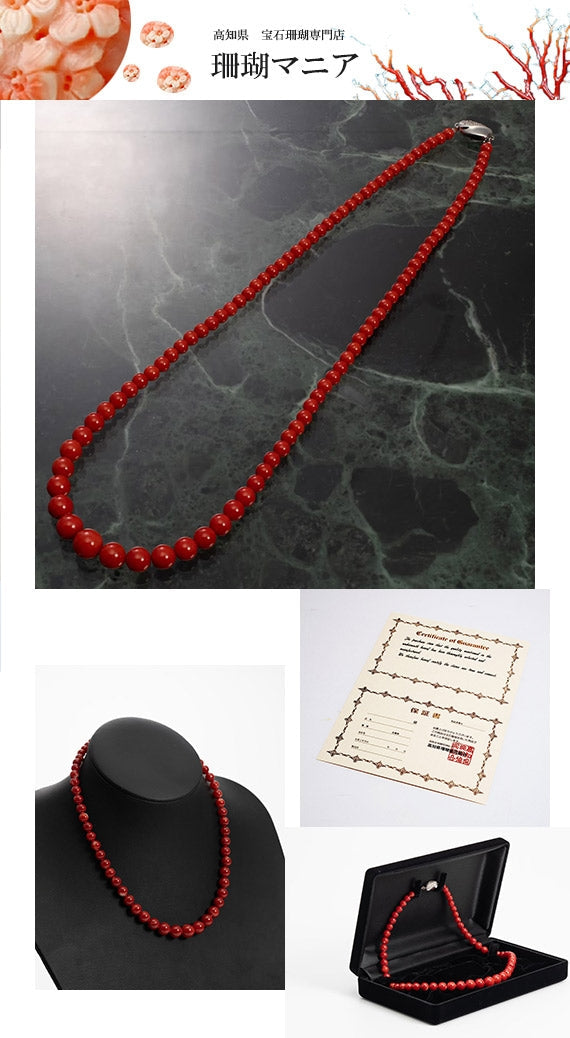 宝石珊瑚赤サンゴ丸珠ネックレス
