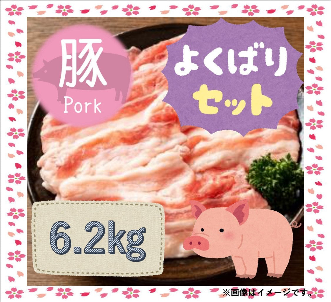 【冷凍】 知多豚よくばりセット6.2ｋｇ