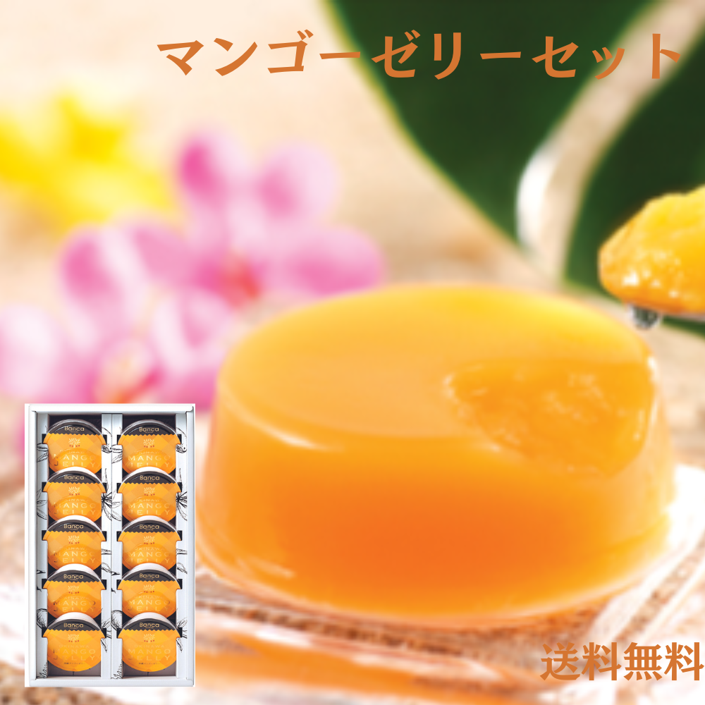 マンゴーゼリーセット（10個）　送料無料