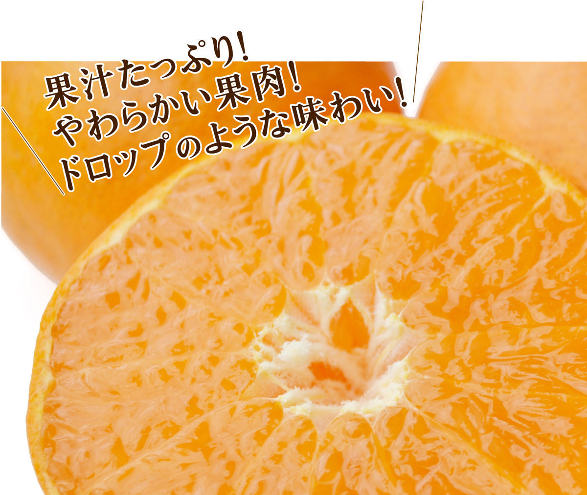 ★濃厚でフルーティーな味わい♪★ ハウス栽培 麗紅（れいこう）