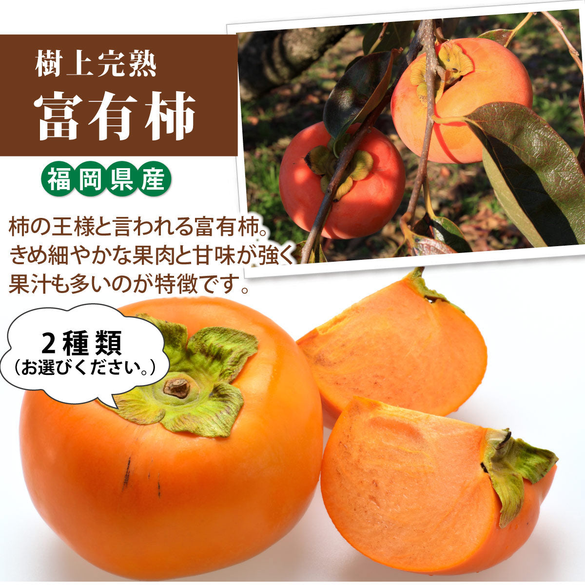 ＜柿の王様＞樹上完熟！★富有柿 ふゆうがき★【採れたて】と【貯蔵】が選べます。【福岡県産】