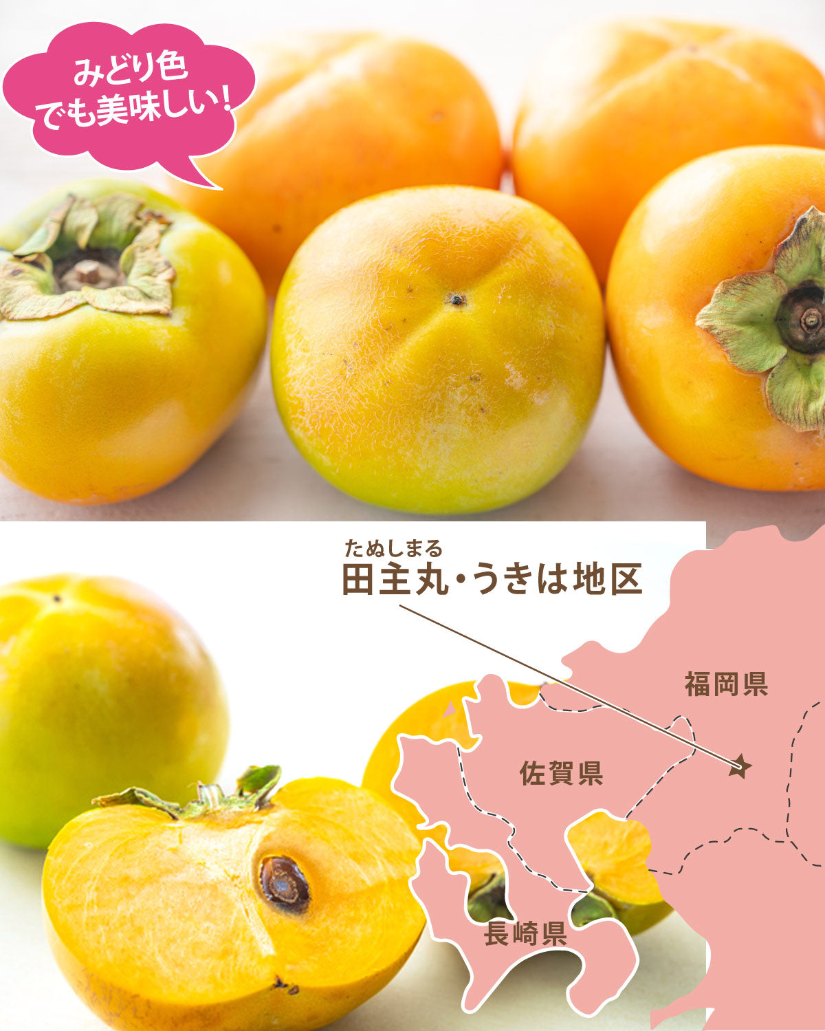 ＜緑色でも美味しい！！＞サクサクで甘い！！希少品種★太秋柿（たいしゅうがき）★【福岡県産】