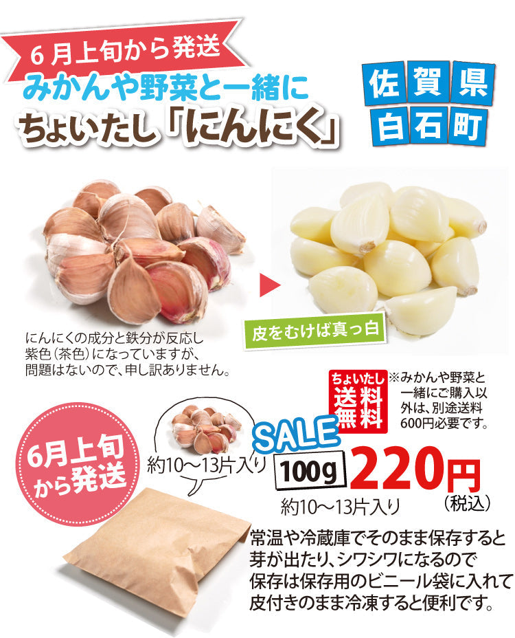 SALE★割引中！【他の商品にちょい足しで送料無料】色んな料理に大活躍！！★にんにく（100ｇ）★佐賀県産