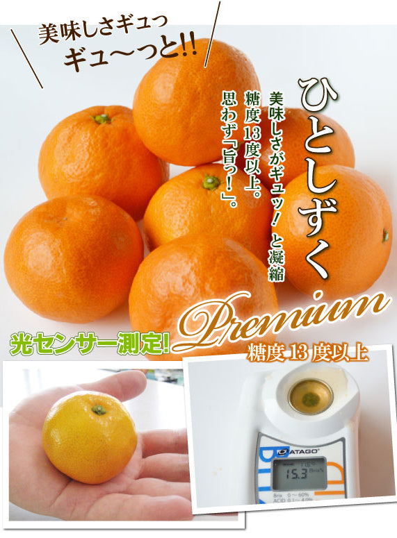 ★思わず「旨っ！！」★＜糖度13度以上＞ひとしずくプレミアム★