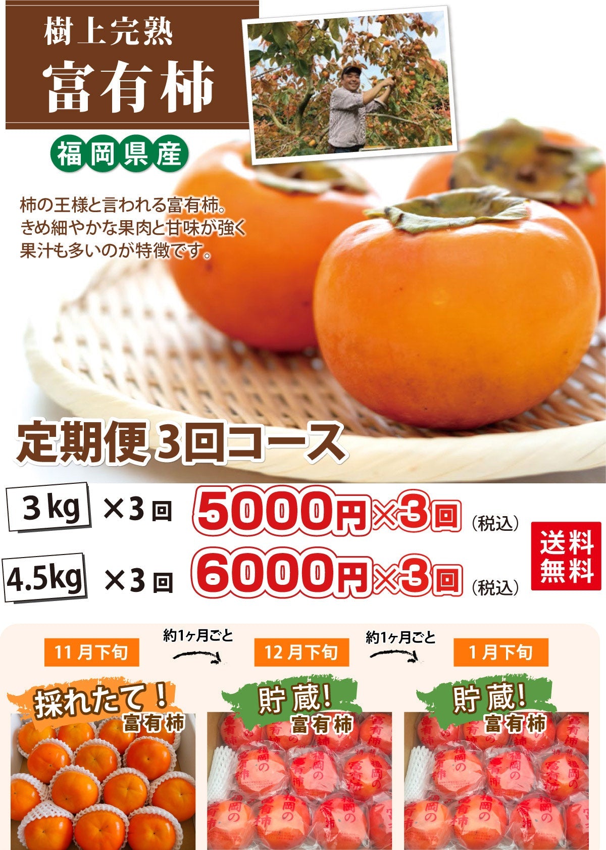 ＜定期便＞樹上完熟！★富有柿 ★定期便 3回コース【福岡県産】