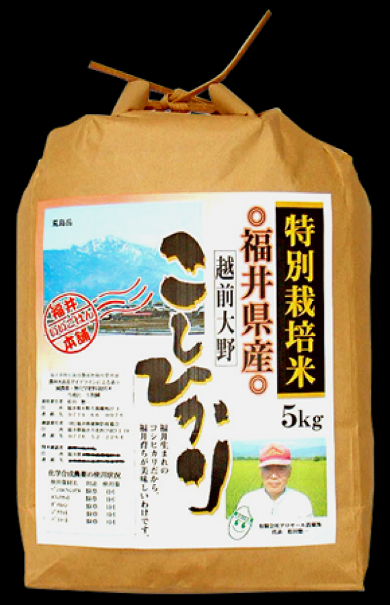 福井県産 令和5年産 菖蒲池コシヒカリ5キロ（送料無料）