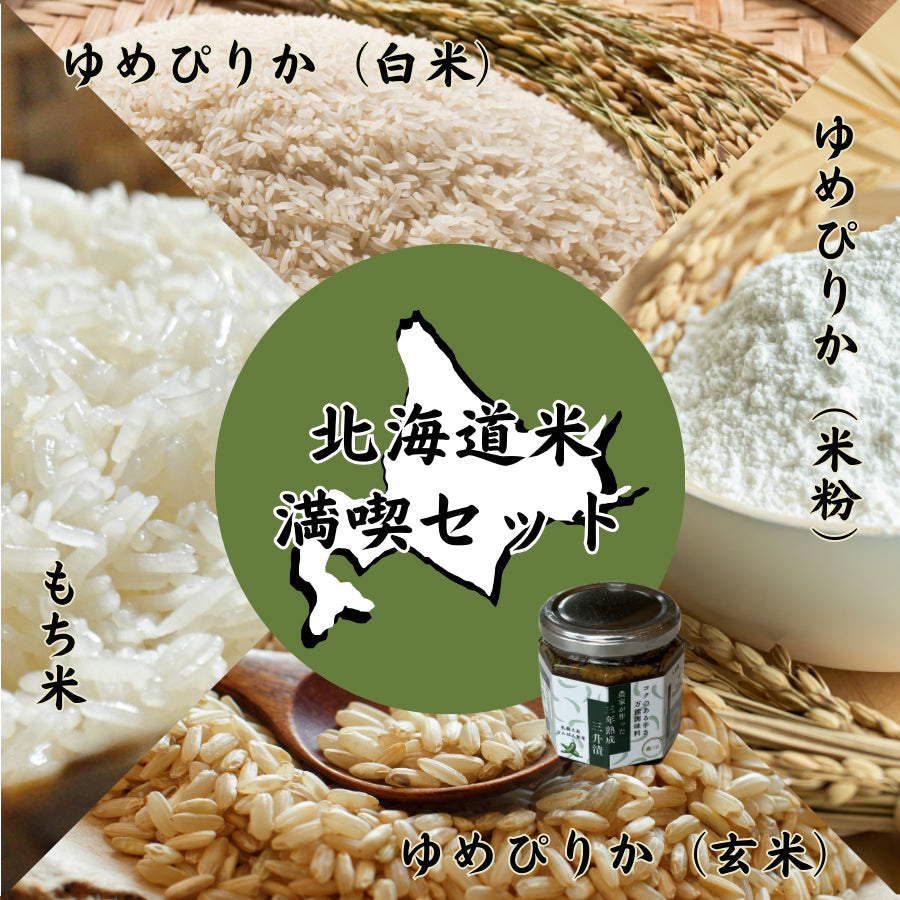 【ギフトセット】北海道米満喫5点セット（白米・玄米・もち米・米粉・三升漬）