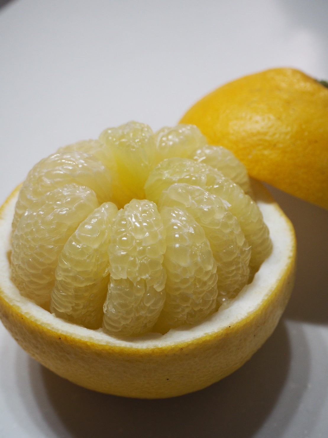 【販売期間1月～４月】【おためし：香りも楽しむ！】お味のバランスが良いお手頃サイズ【完熟作りの土佐文旦】【４キロ以上入り箱：レギュラー選別】 【８～10個入り】送料無料一部地域除く