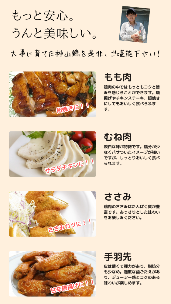 【5月7～13日ポイント7倍】【送料込】【鶏まるごと9種類！１０パック！！】徳島県産神山鶏食べつくしセット
