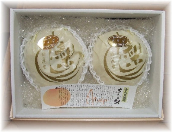 岡山特産あたご梨「日本最大級の梨」(ジャンボ梨）特大２個入り（2.4ｋｇ以上）愛宕梨【お歳暮2022】【フルーツ】発送は、１１月下旬から。