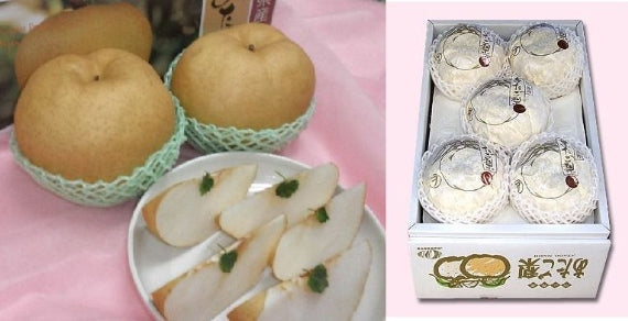 岡山特産あたご梨「日本最大級の梨」(ジャンボ梨）特大２個入り（2.4ｋｇ以上）愛宕梨【お歳暮2022】【フルーツ】発送は、１１月下旬から。