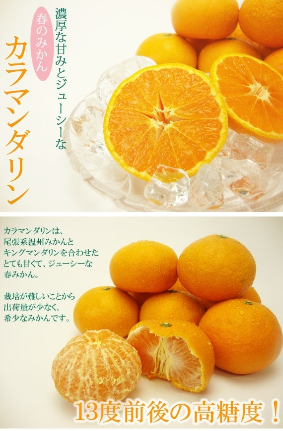■販売終了■｢愛媛特産」★完熟春みかん★カラマンダリン[なつみ]5kg　2L～Mサイズ（サイズ指定不可)