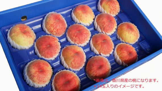 【販売中】糖度選別桃（香川県・岡山県又は、信州産）　約4ｋｇ　１０～１６玉（玉数・産地指定不可）
