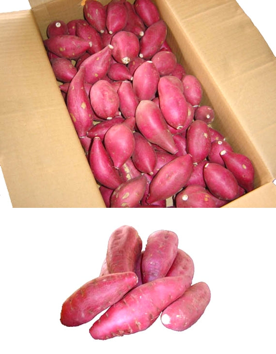 ■販売終了■「徳島県産」蒸かし芋に最適！！なると金時　5kg　2Sサイズ