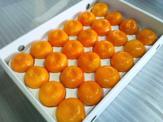 【販売終了】「愛媛特産」濃厚な甘さ・深い味わいハウスみかん 20玉(L)・24玉(M)・30玉(S)サイズ指定不可