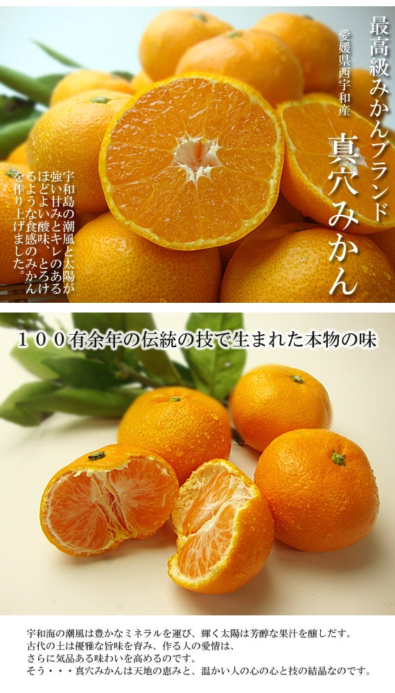 【販売中】温州みかん部門人気Ｎｏ１「西宇和特産」真穴みかん L・M・Sサイズ（サイズ指定不可） 約１０ｋｇ