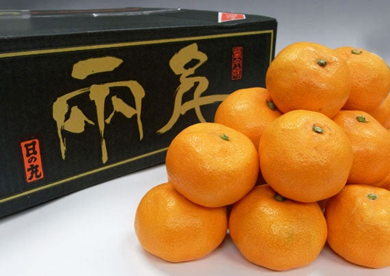 【販売中】『西宇和特産』日の丸みかん（良品）５kg<L・Ｍ・Ｓサイズ（サイズ指定不可）>