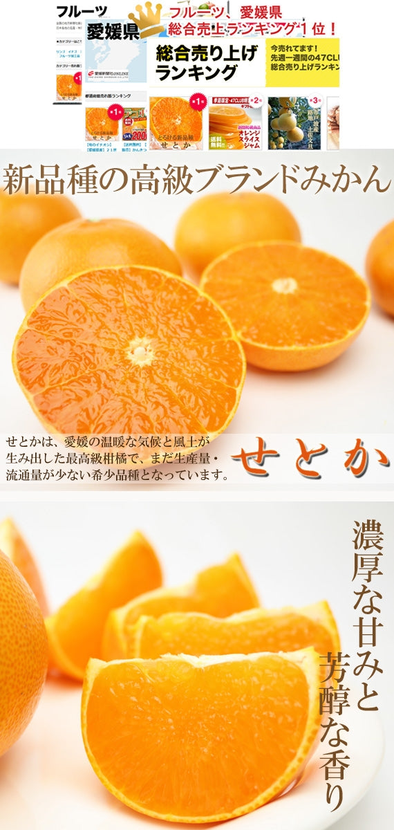 【販売終了】とろける食感！！　「せとか」（化粧箱入り）約３ｋｇ　４Ｌ～２Ｌサイズ　８玉～１２玉