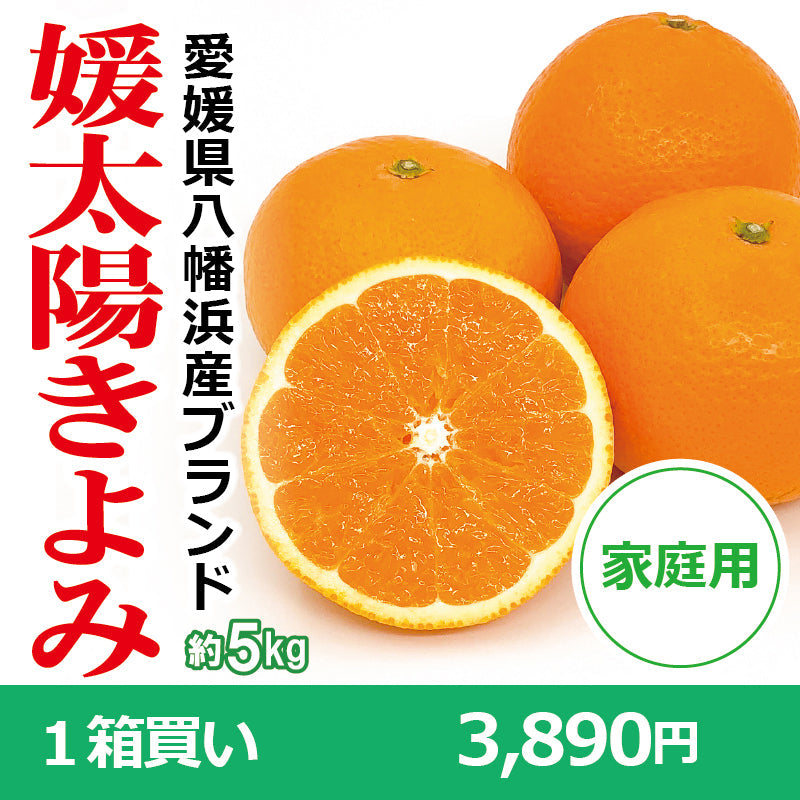 ※今季販売終了※【送料無料】愛媛県産「きよみ」‐媛太陽きよみ-〈家庭用〉約5kg