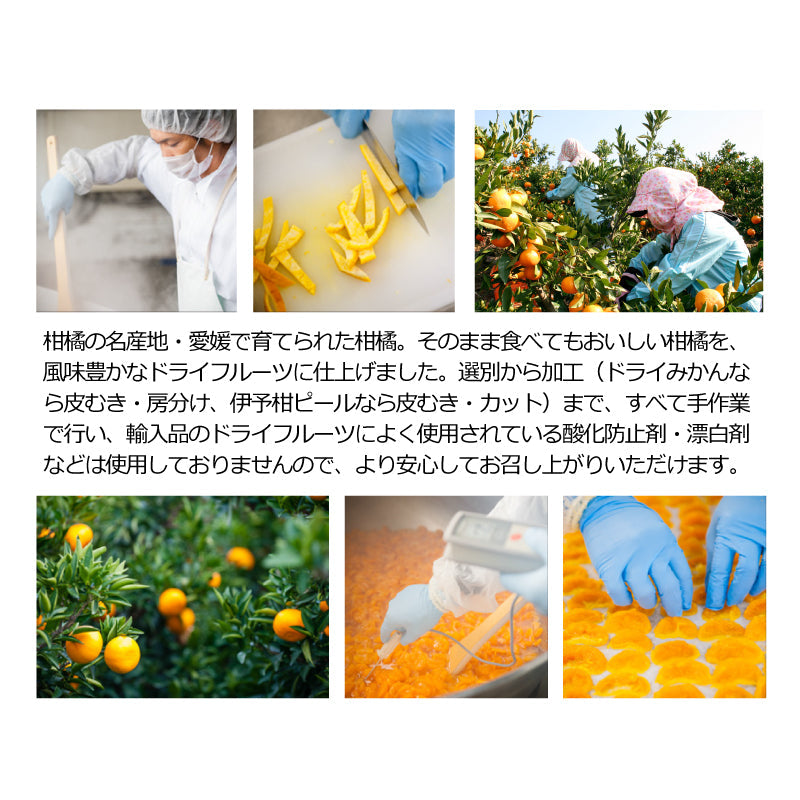 【宅配便】愛媛県産　ドライみかん〈単品・80g〉