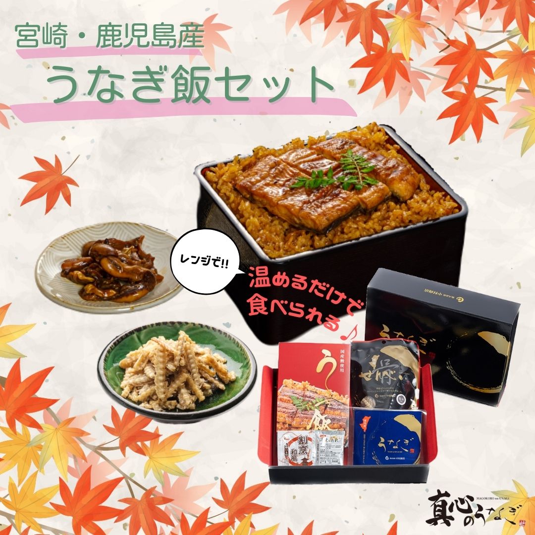 【宮崎・鹿児島県産】うなぎ飯セット　お歳暮　国産鰻　送料無料【鮮魚・魚介類】