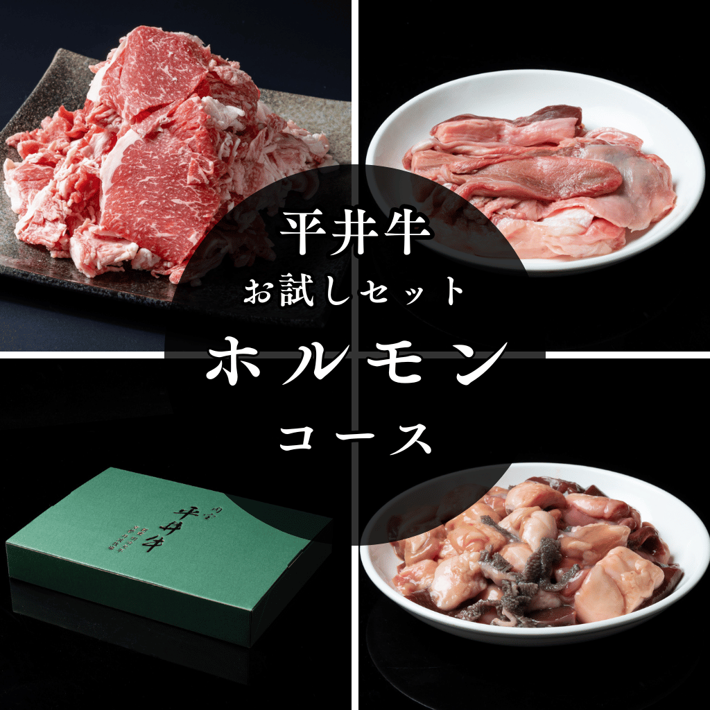 【送料無料】京都黒毛和牛「肉宝 平井牛」お試しセット[ホルモンコース]〈冷凍便〉【ギフト・プレゼントにも最適】