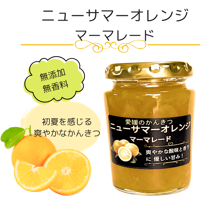 初夏を感じる「愛媛のニューサマーオレンジ・マーマレード」４個セット