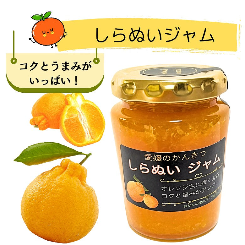【送料無料】「夏のごちそうジャム・第二弾」 4種セット【在庫限り！】