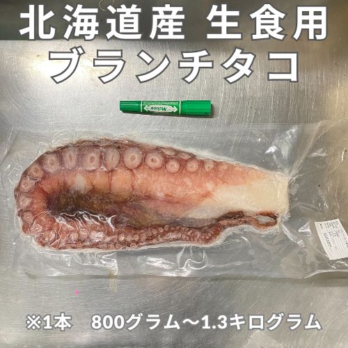 北海道産　ブランチ加工たこ脚１本