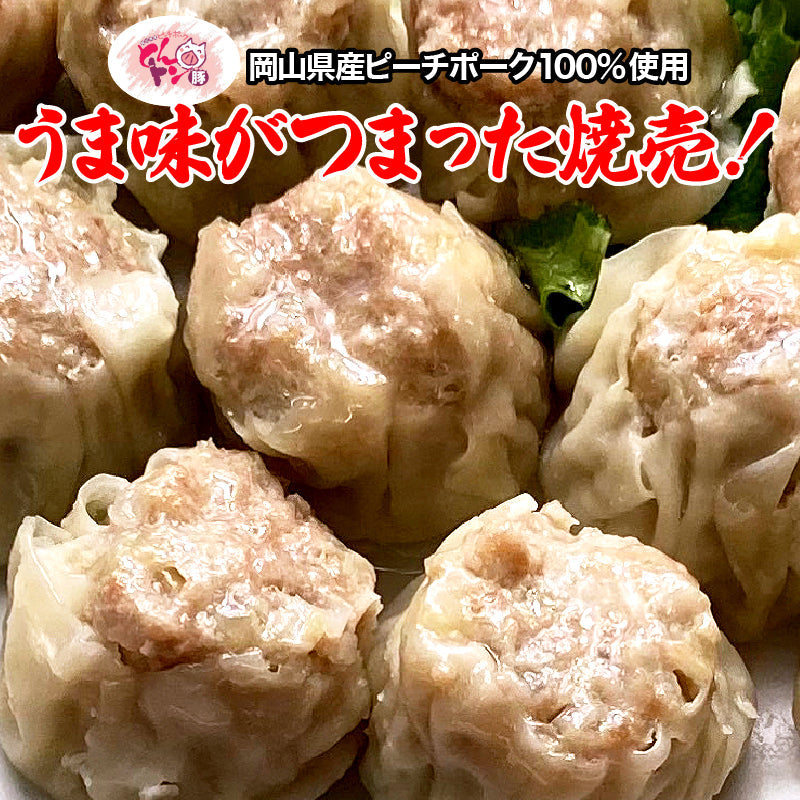★送料込み ぎょうざと焼売！バラエティセットB