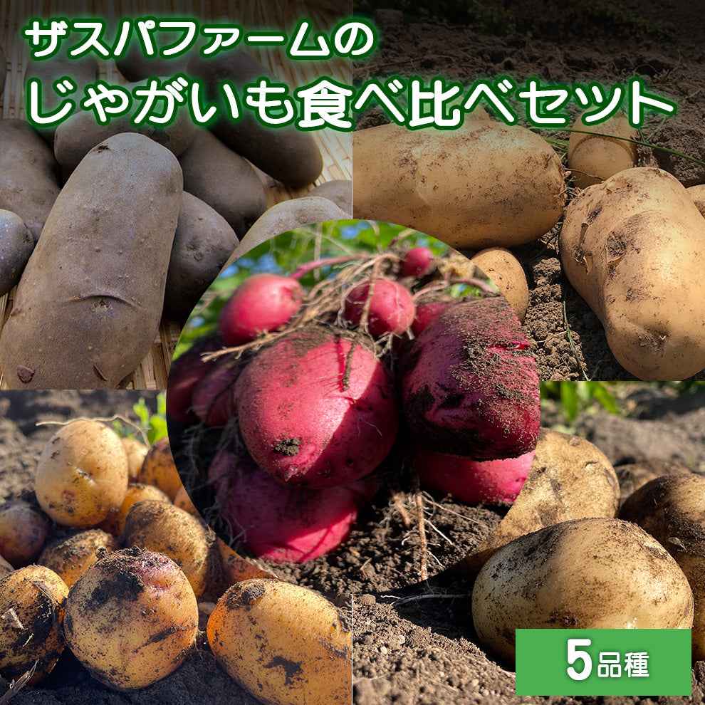 ザスパファームのじゃがいも食べ比べセット(5品種5kg)※沖縄県配送不可※