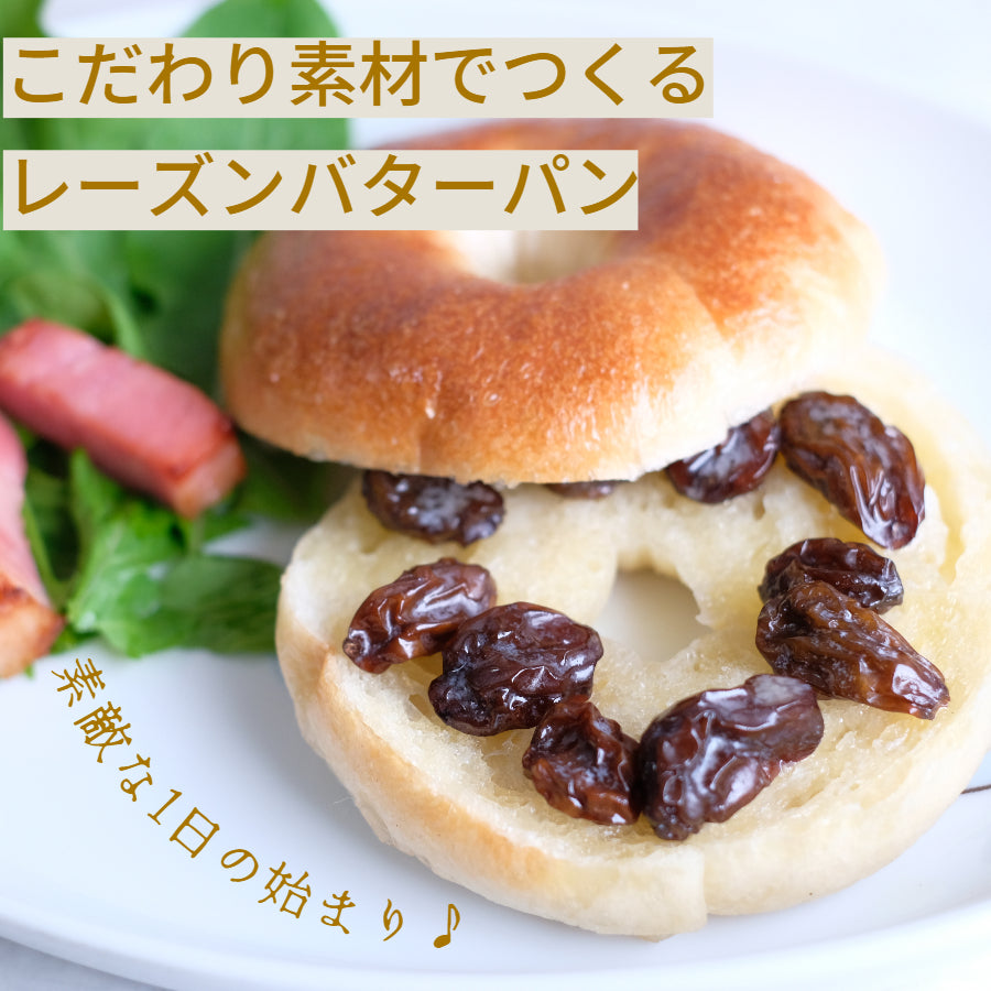 シャインマスカット枝付き干しぶどう 2袋【今なら】希少な「神紅」干し