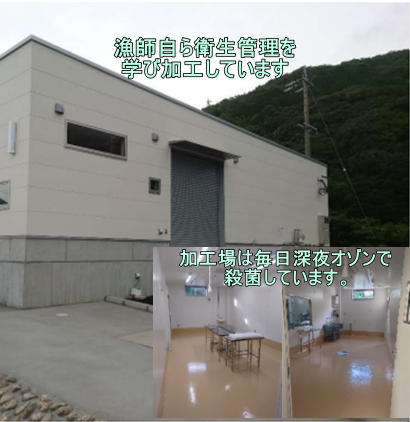 めでたい！お試し数量限定！お刺身・しゃぶしゃぶ用　冷凍真鯛柵パック総量500g入！！