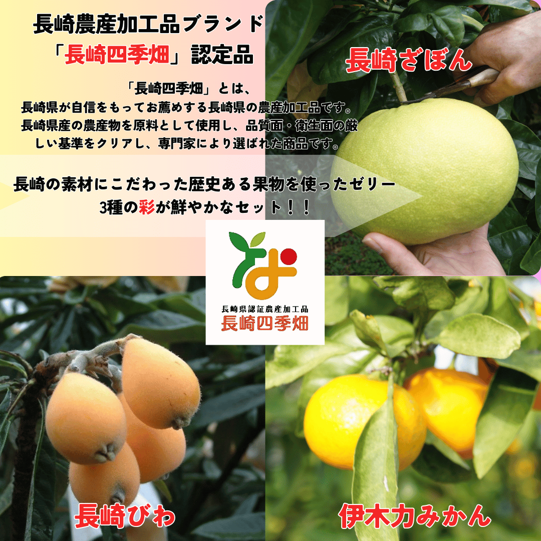 【ギフト】【送料込】長崎旬彩１２個入り（長崎びわゼリー75g×４個・長崎ザボンゼリー75g×４個・伊木力みかんゼリー75g×４個詰合せセット）