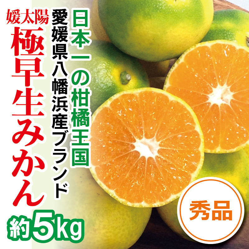 ※2025年9月頃より予約開始予定※愛媛県産「極早生みかん」〈秀品〉約5kg