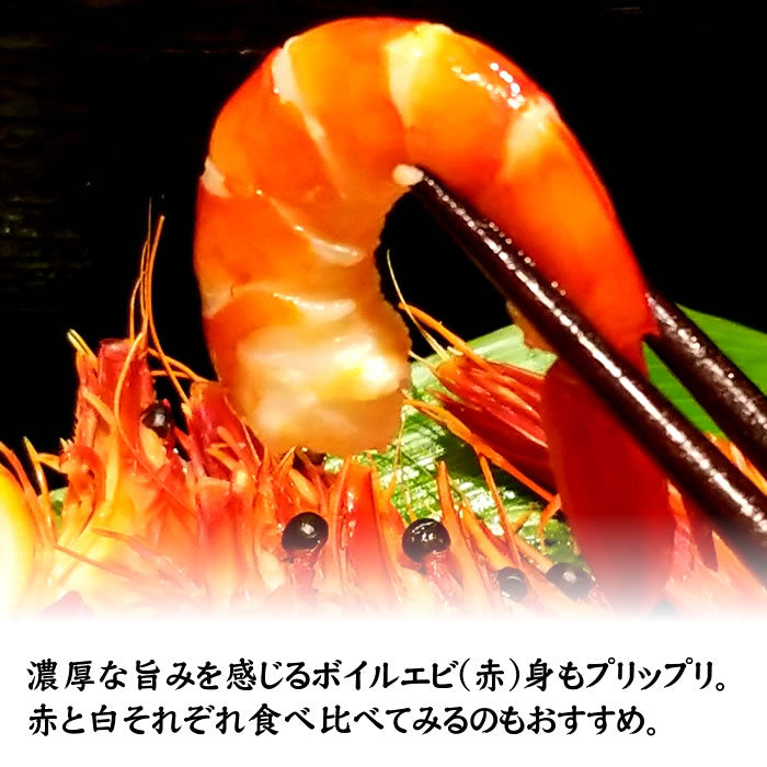 帆立＆ボイルエビ紅白セット　帆立(白)250g・帆立(赤)250g・ボイルエビ(白)10尾入・ボイルエビ(赤)10尾入 送料無料※沖縄は別途
