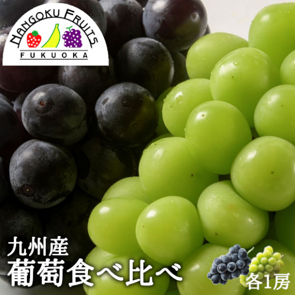 シロ葡萄様 2点 まとめ商品 ぶどう – 名産・特産品・ご当地グルメのお取り寄せ・通販・贈答