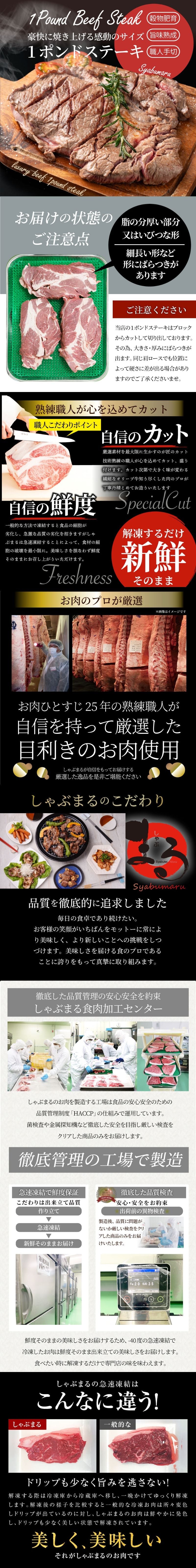 焼肉 セット 牛肉 肉 1ポンド ステーキ 牛肩ロース 450g ブロック ワンポンド メガ盛り 熟成肉 やきにく キャンプ キャンプ飯