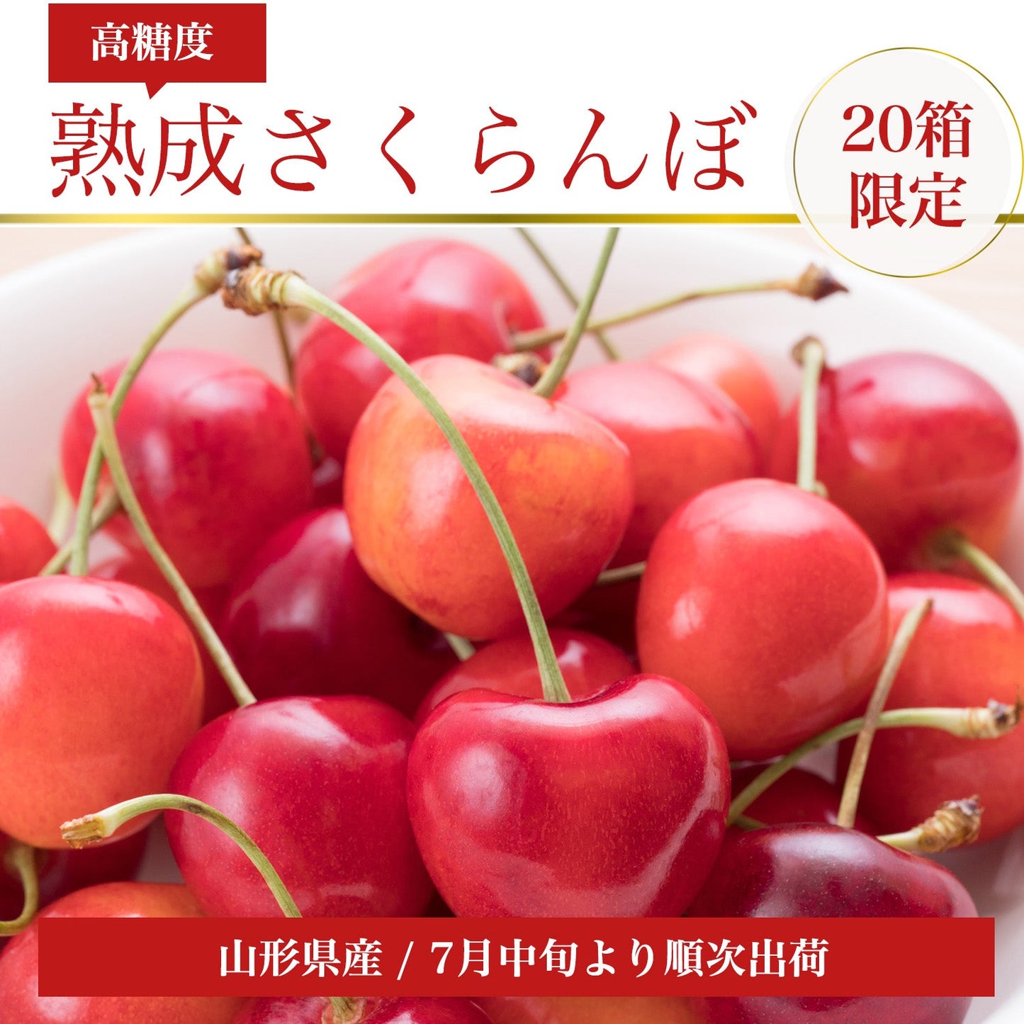 【販売終了致しました次年度販売をお待ちください】【数量限定】【期間限定】熟成サクランボ・山形県産