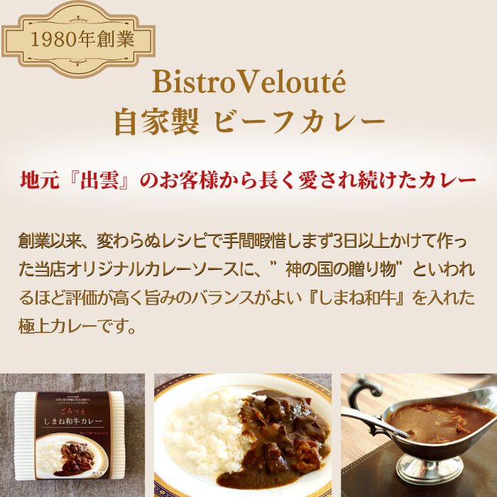 ごろっと しまね和牛カレー 4食セット