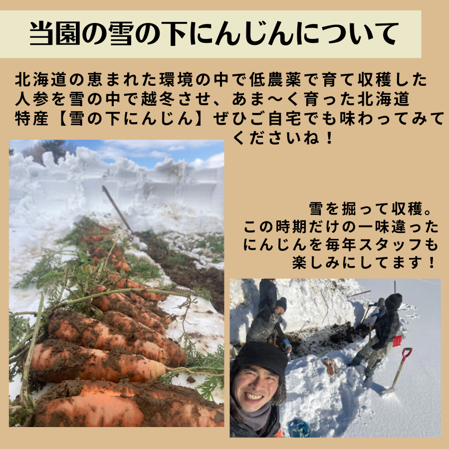 【今期最終】とにかく甘い！北海道特産極甘「雪の下にんじん」5㎏【送料別】
